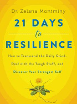 Bild på 21 days to resilience - how to transcend the daily grind, deal with the tou