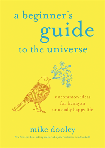 Bild på A Beginner's Guide to the Universe