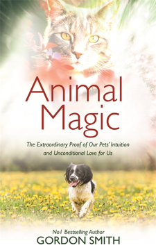 Bild på Animal magic - the extraordinary proof of our pets intuition and unconditio