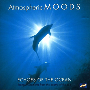 Bild på Atmospheric moods : Echoes of the ocean