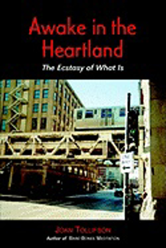 Bild på Awake In The Heartland: The Ecstasy Of What Is