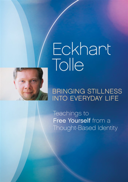 Bild på Bringing Stillness Into Everyday Life (Dvd)