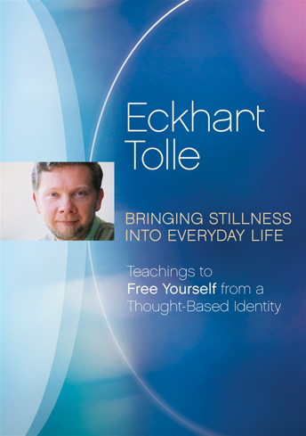 Bild på Bringing Stillness Into Everyday Life (Dvd)