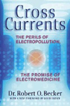 Bild på Cross Currents: The Perils Of Electropollution, The Promise