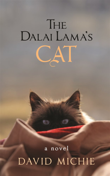 Bild på Dalai lamas cat