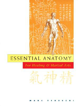 Bild på Essential anatomy for healing and martial arts