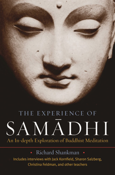 Bild på Experience of samadhi