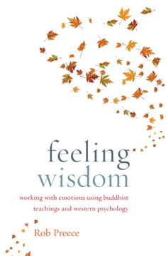Bild på Feeling Wisdom : Working with Emotions Using Buddhist Teachings and Western Psychology