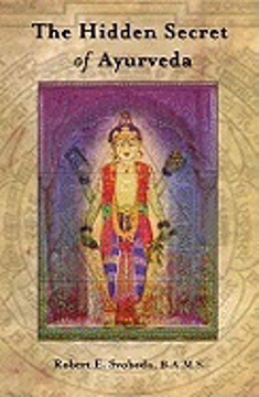 Bild på Hidden secret of ayurveda