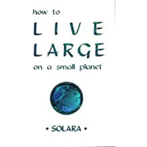Bild på How To Live Large On A Small Planet