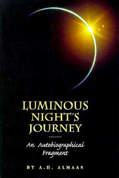 Bild på Luminous Night's Journey