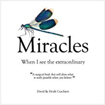 Bild på Miracles : When I See The Extraordinary
