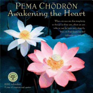 Bild på Pema Chodron Calendar 2020 : Awakening the Heart
