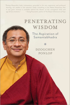 Bild på Penetrating wisdom