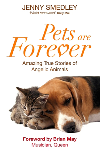Bild på Pets are forever - amazing true stories of angelic animals