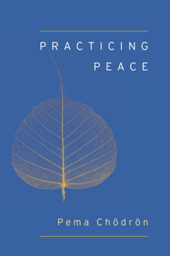 Bild på Practicing peace (shambhala pocket classic)