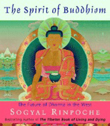 Bild på Spirit Of Buddhism: The Future Of Dharma In The West