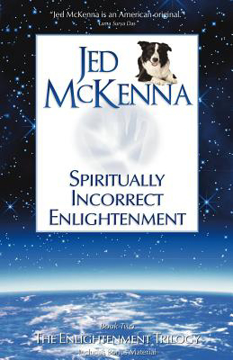 Bild på Spiritually Incorrect Enlightenment: Mmx--The Enlightenment Trilogy, Book Two (New Edition)