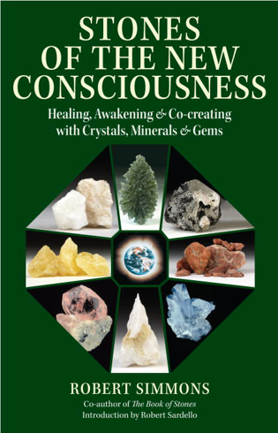 Bild på Stones of the new consciousness###