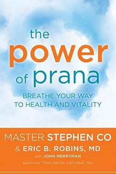 Bild på The Power of Prana: Breathe Your Way to Health and Vitality