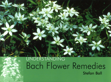 Bild på Understanding Bach Flower Remedies