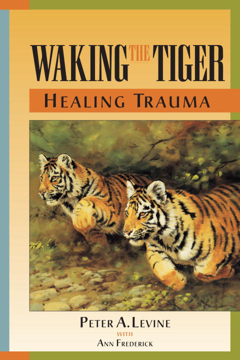 Bild på Waking the tiger