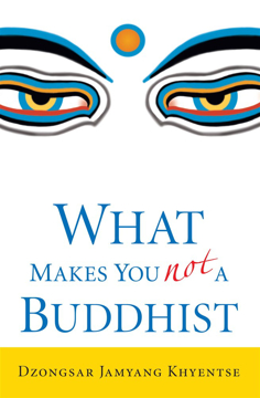 Bild på What Makes You Not a Buddhist