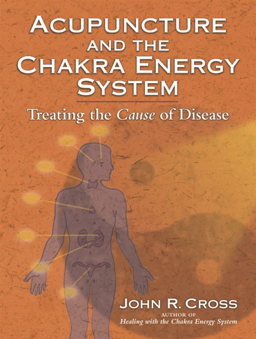 Bild på Acupuncture and the Chakra Energy System