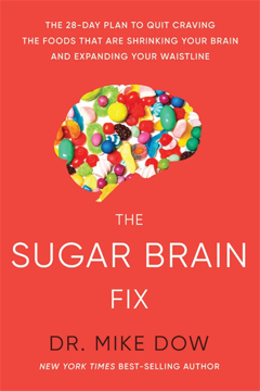 Bild på The Sugar Brain Fix