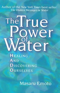 Bild på The True Power of Water: Healing and Discovering Ourselves