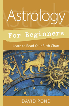 Bild på Astrology for Beginners
