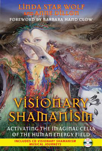 Bild på Visionary shamanism - activating the imaginal cells of the human energy fie