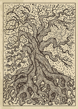 Bild på Lenormand Engraved Tree (30x40)