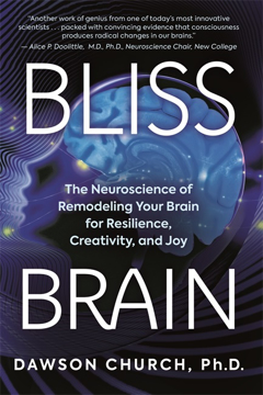 Bild på Bliss Brain
