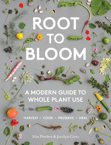 Bild på Root to Bloom