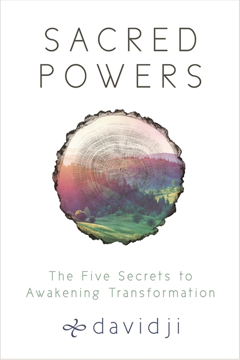 Bild på Sacred powers - the five secrets to awakening transformation