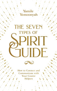 Bild på The Seven Types of Spirit Guide