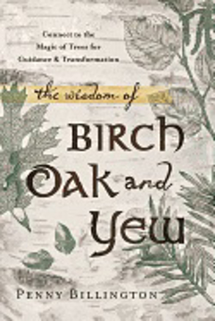 Bild på Wisdom of birch, oak, and yew - connect to the magic of trees for guidance
