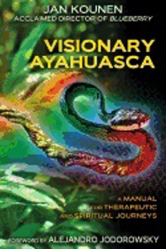 Bild på Visionary Ayahuasca : A Manual for Therapeutic and Spiritual  Journeys