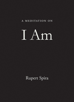 Bild på A Meditation On I Am