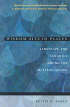 Bild på Wisdom sits in places - landscape and language among the western apache