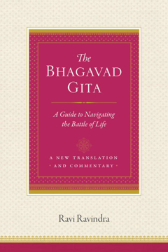 Bild på Bhagavad gita - a guide to navigating the battle of life