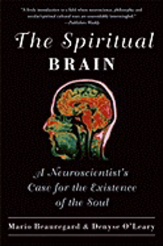 Bild på Spiritual brain - a neuroscientists case for the existence of the soul