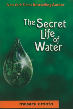 Bild på Secret Life Of Water (Q)