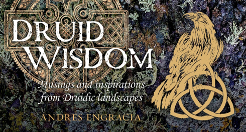 Bild på Druid Wisdom