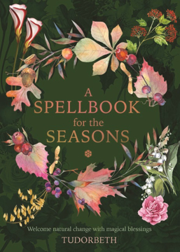 Bild på A Spellbook for the Seasons