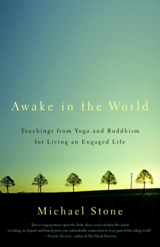 Bild på Awake in the world - teachings from yoga and buddhism for living an engaged