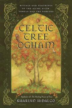 Bild på Celtic Tree Ogham