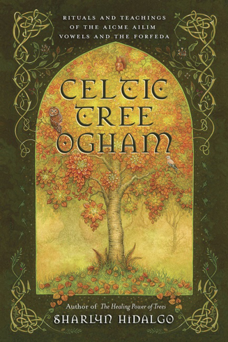 Bild på Celtic Tree Ogham