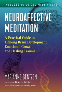 Bild på Neuroaffective Meditation